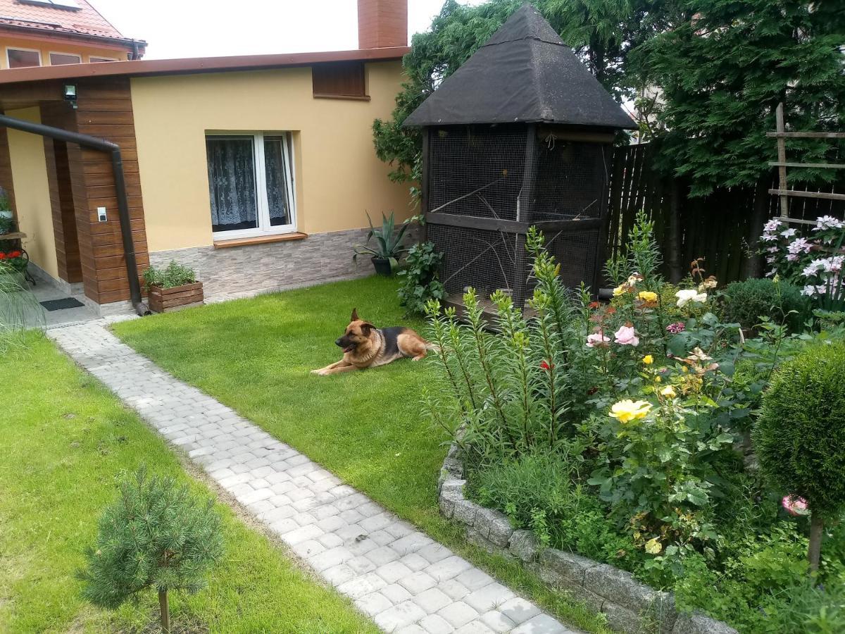 Agroturystyka U Agaty Chęciny Buitenkant foto