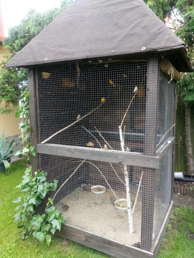 Agroturystyka U Agaty Chęciny Buitenkant foto