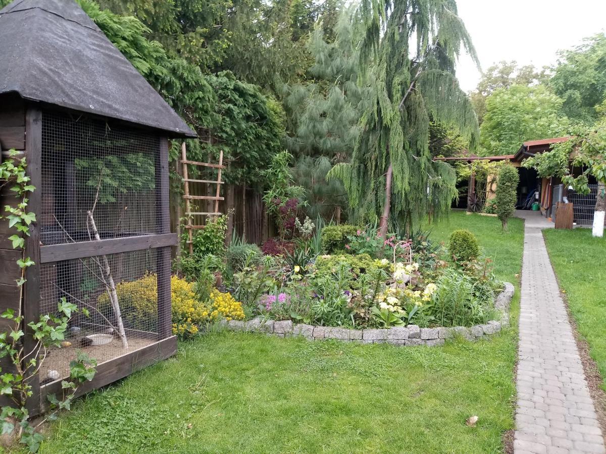 Agroturystyka U Agaty Chęciny Buitenkant foto