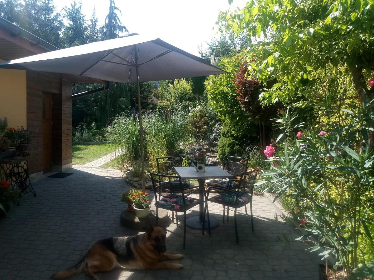 Agroturystyka U Agaty Chęciny Buitenkant foto